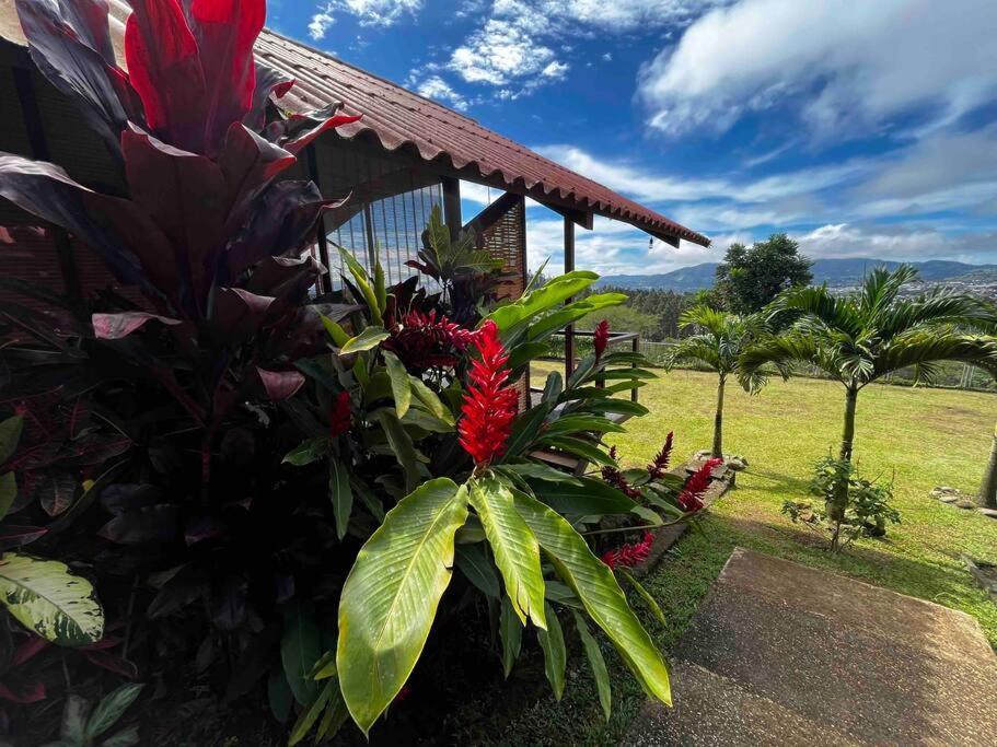 Chalet Zen Bella Vista San Juan  Exteriér fotografie